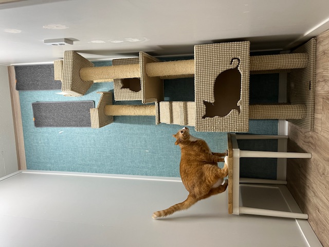 A타입 객실 사진