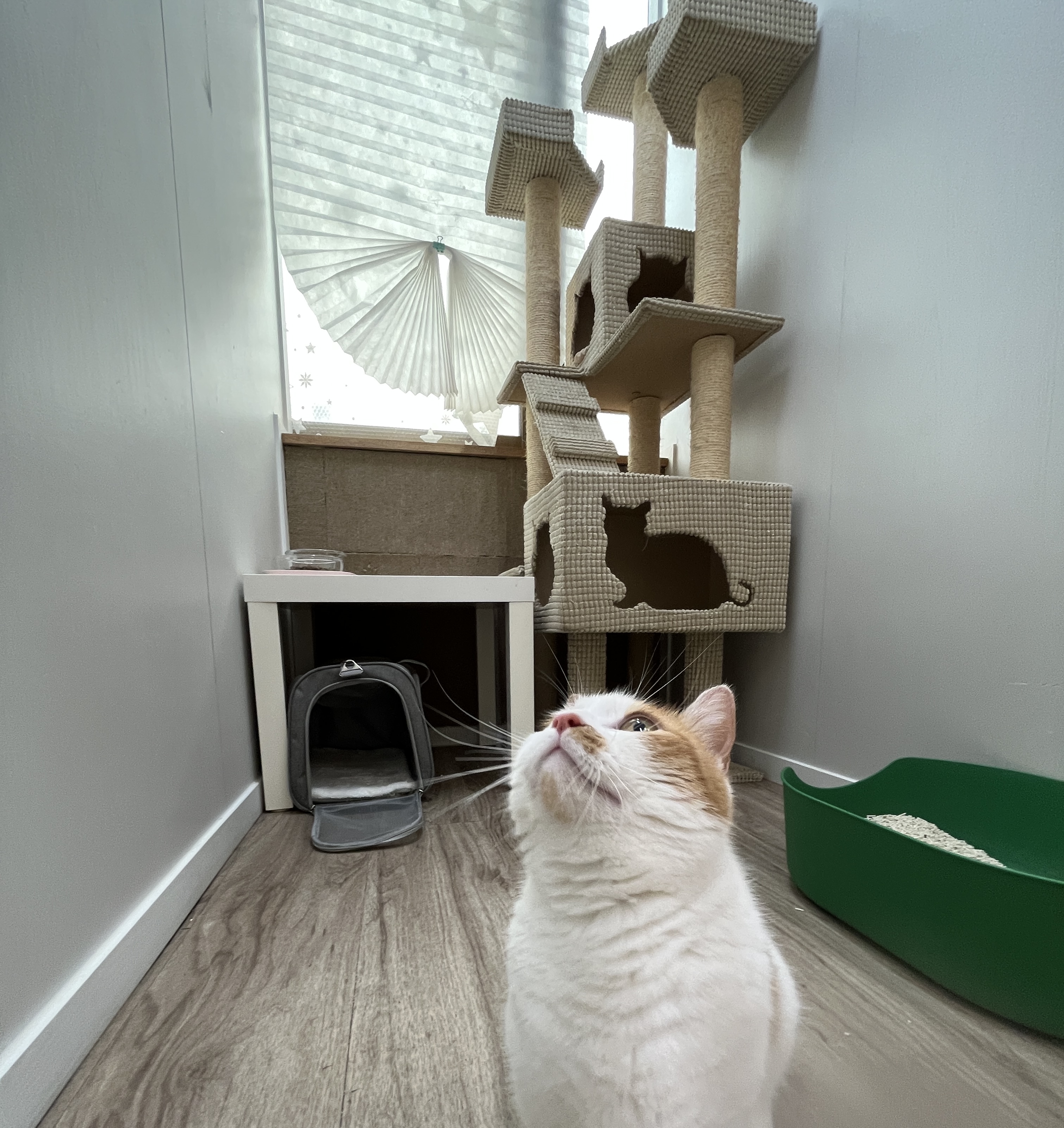 B타입 객실 사진